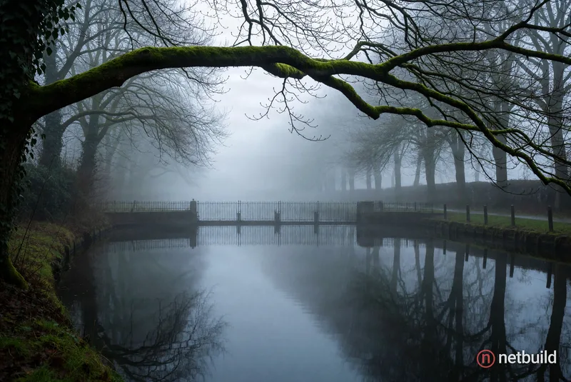 A high-detail landscape photograph of a misty canal, framed by a prominent moss-dusted bare tree branch arching across the upper foreground. In the mi...